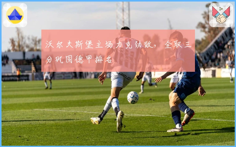 沃尔夫斯堡主场力克劲敌,全取三分巩固德甲排名