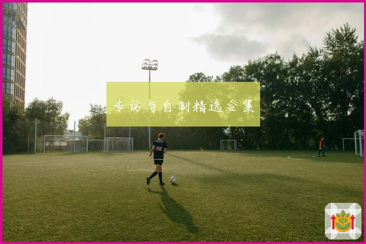 专访与自制精选合集