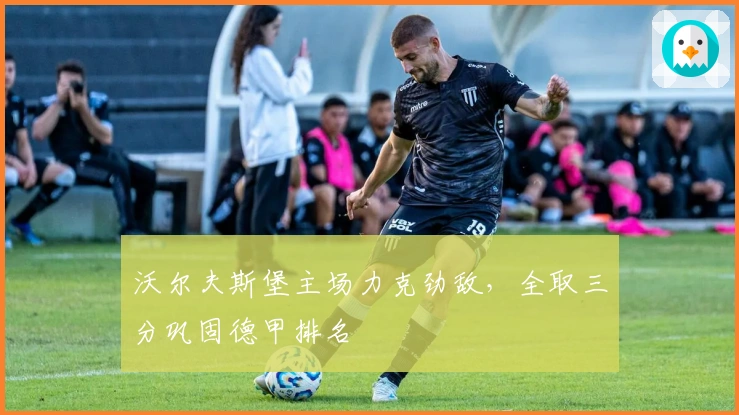 沃尔夫斯堡主场力克劲敌，全取三分巩固德甲排名